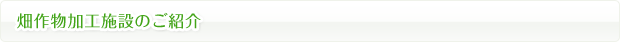 畑作物加工施設のご紹介
