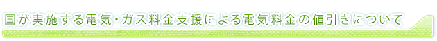 国が実施する電気・ガス料金支援による電気料金の値引きについて