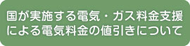 国が実施する電気・ガス料金支援による電気料金の値引きについて